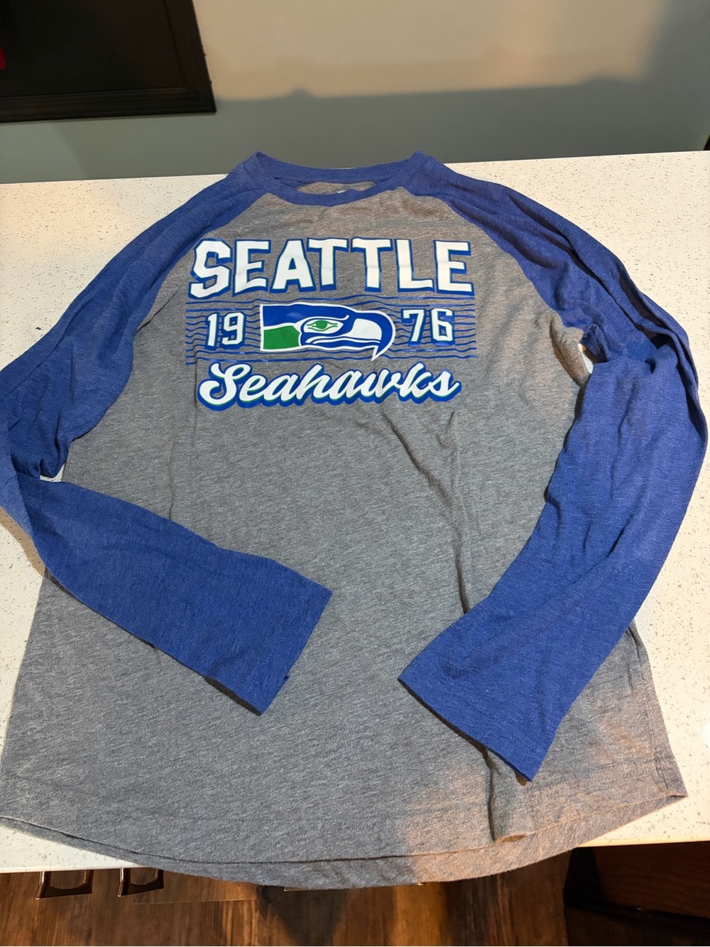 Seattle Seahawks Men's Long Sleeve Raglan Shirt - Gray & Blue